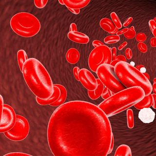 Stimola la circolazione sanguigna